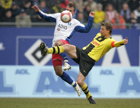 化的健康生 化的健康生